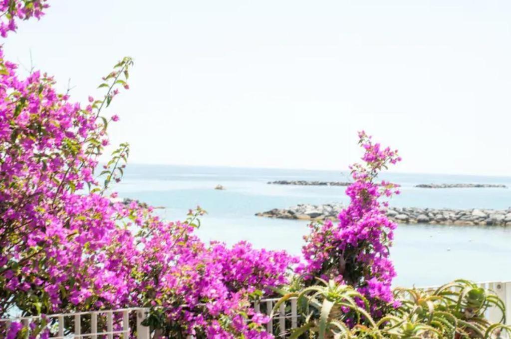 Casa Vacanza Rossella San Remo Kültér fotó