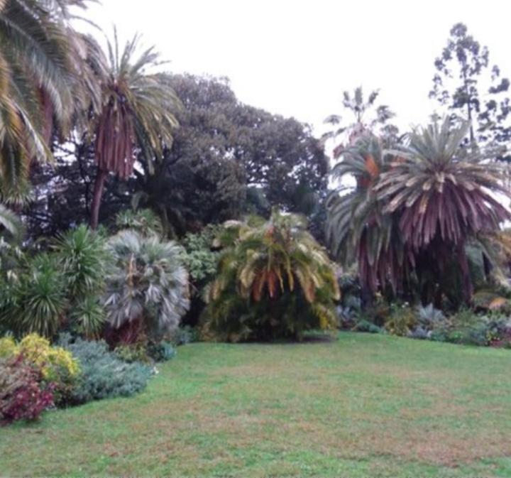 Casa Vacanza Rossella San Remo Kültér fotó